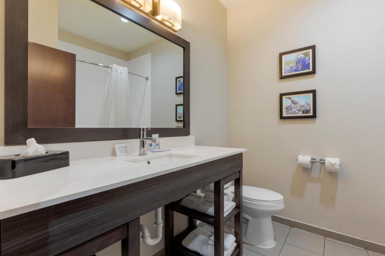Comfort Inn & Suites Balch Springs - Se Dallas Kültér fotó