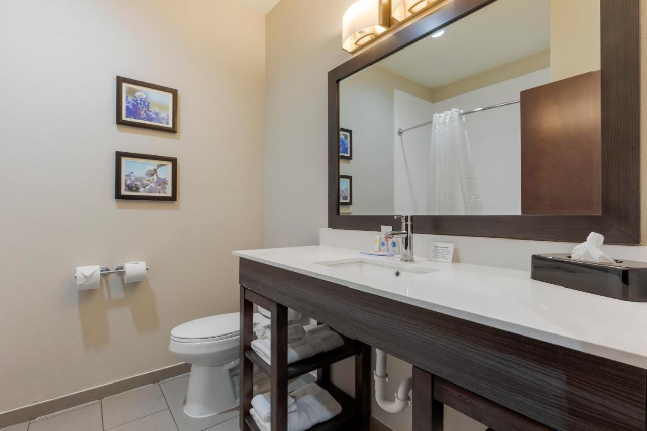 Comfort Inn & Suites Balch Springs - Se Dallas Kültér fotó